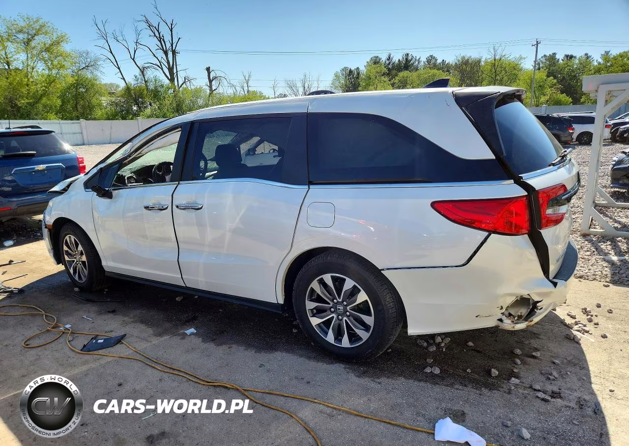 2022 Honda Odyssey Exl VIN:5FNRL6H77NB006342 - 2