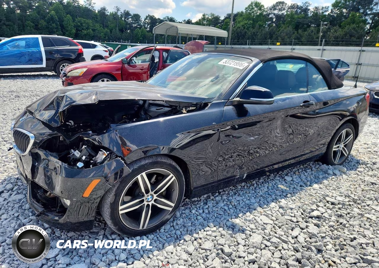 2017 BMW 230I