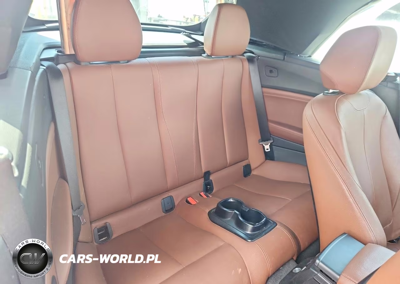 2017 BMW 230I VIN:WBA2K9C33HV950605 - 10