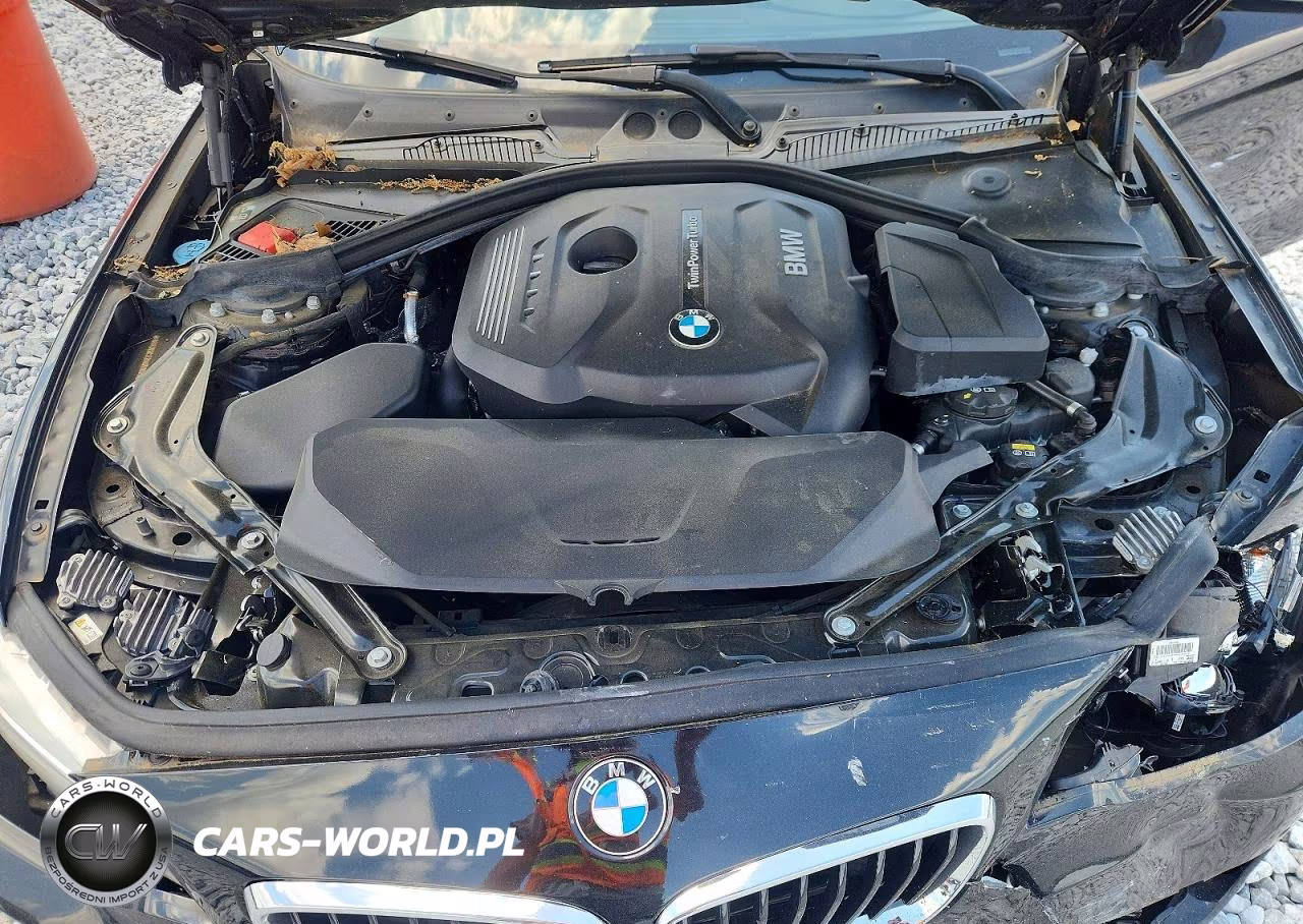 2017 BMW 230I VIN:WBA2K9C33HV950605 - 11