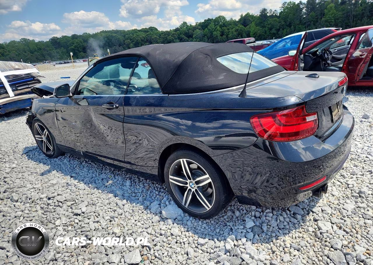 2017 BMW 230I VIN:WBA2K9C33HV950605 - 2