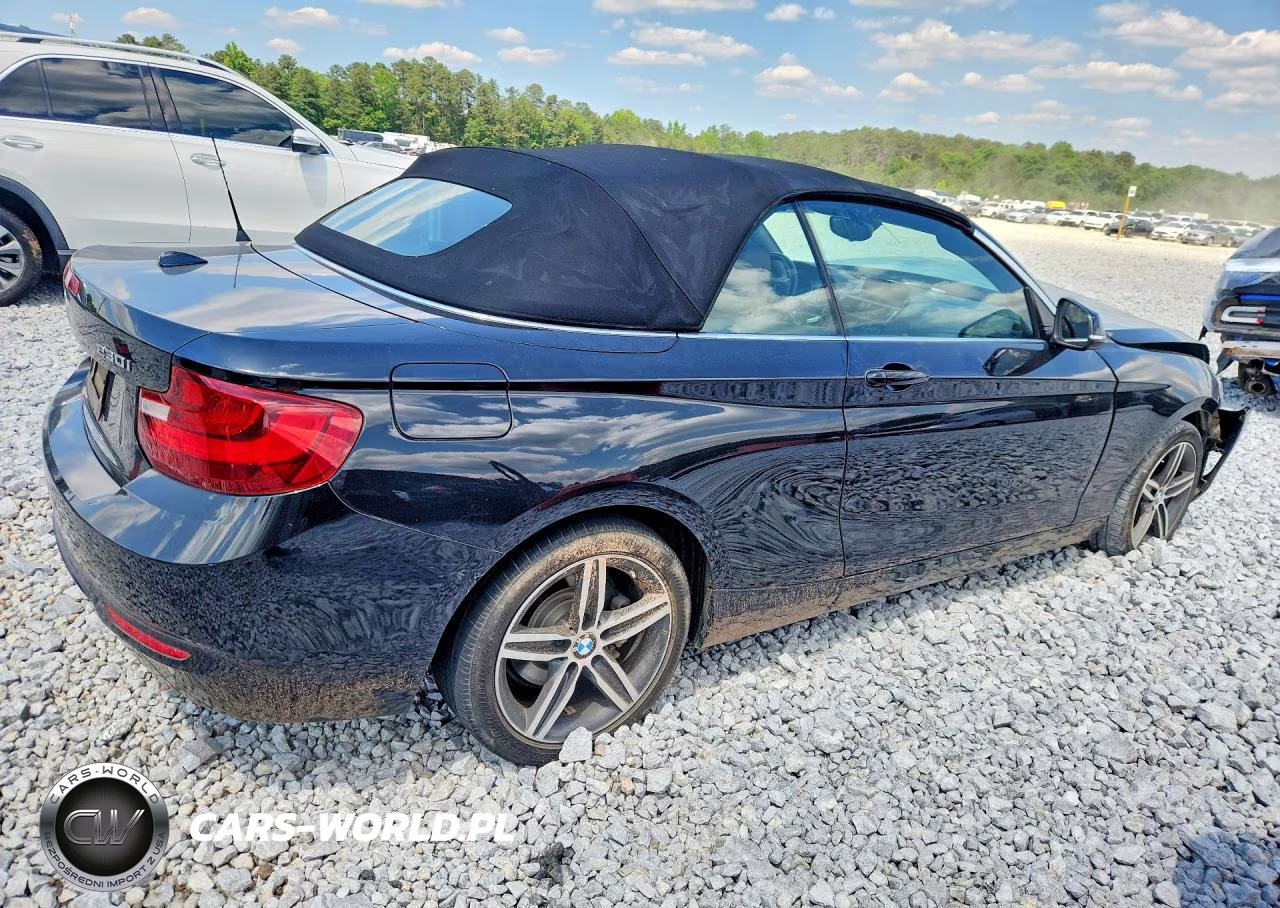 2017 BMW 230I VIN:WBA2K9C33HV950605 - 3