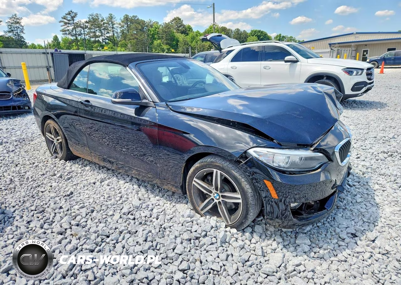 2017 BMW 230I VIN:WBA2K9C33HV950605 - 4