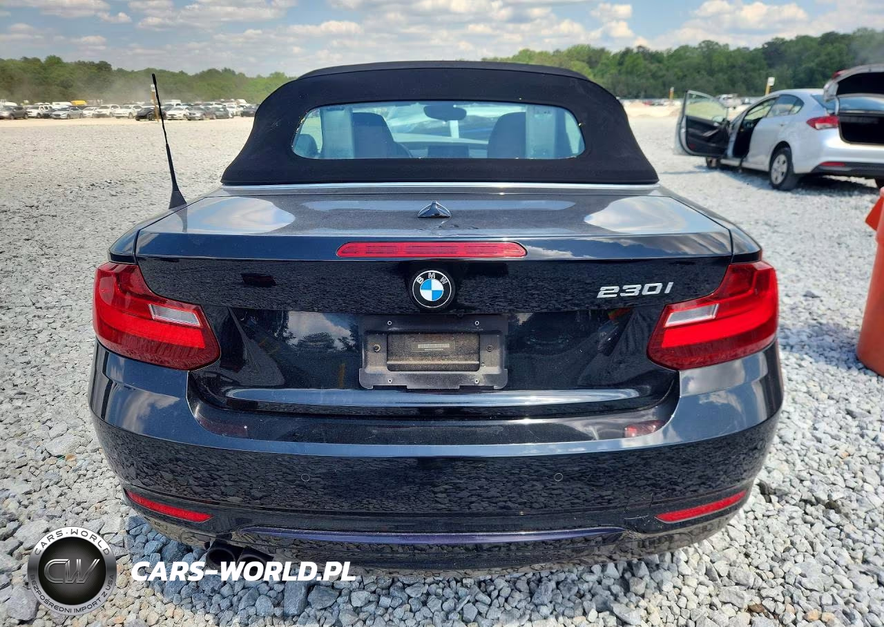 2017 BMW 230I VIN:WBA2K9C33HV950605 - 6