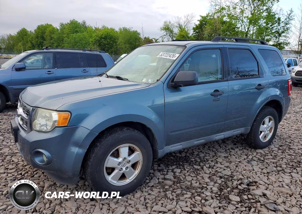 2010 Ford Escape Xlt