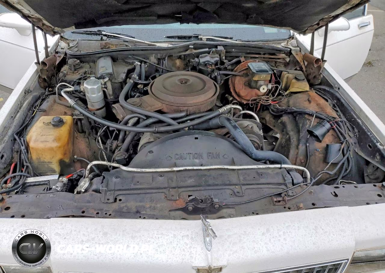 1987 Chevrolet Caprice Classic VIN:1G1BN51H7HX111734 - 11