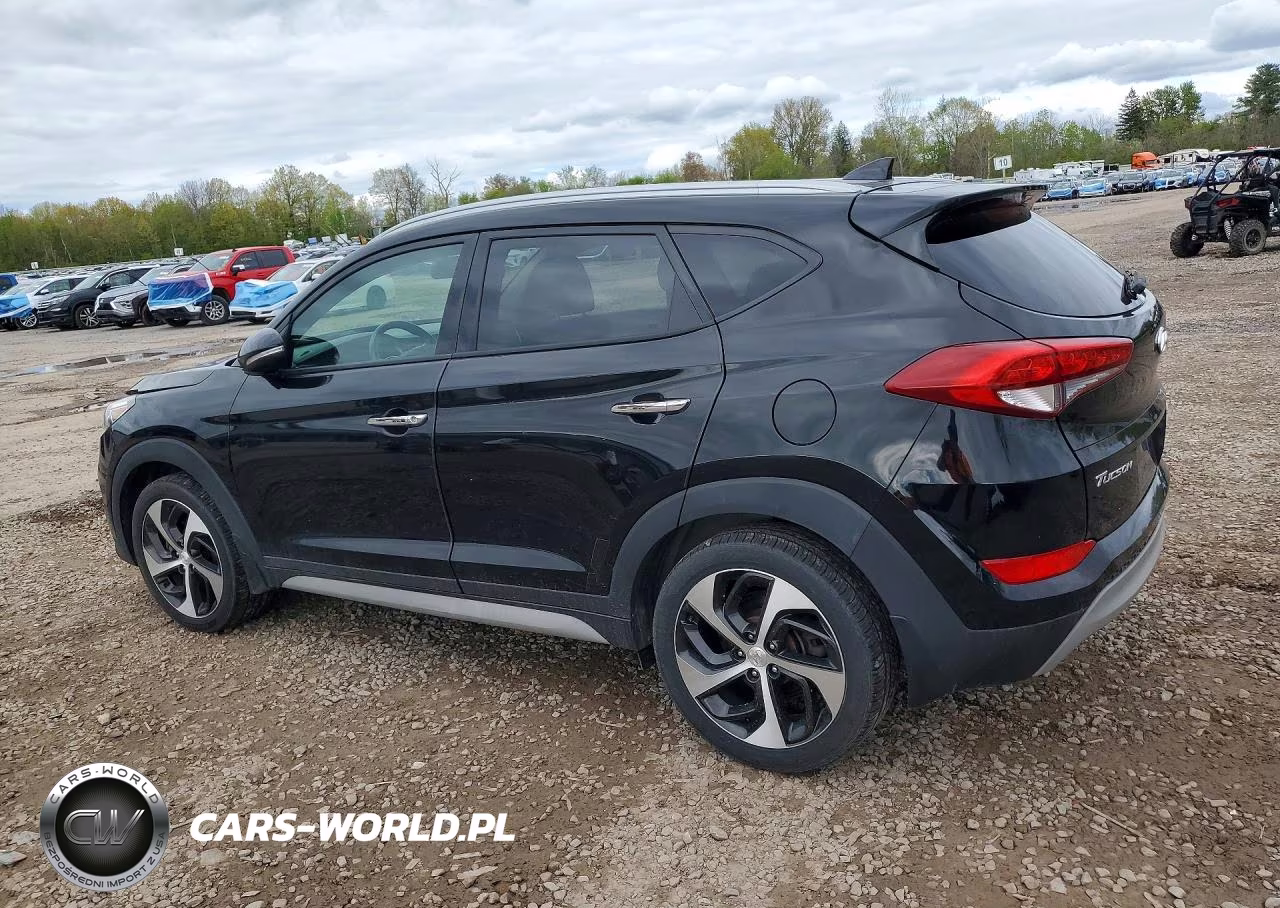 2018 Hyundai Tucson Limited VIN:KM8J3CA21JU830733 - 2