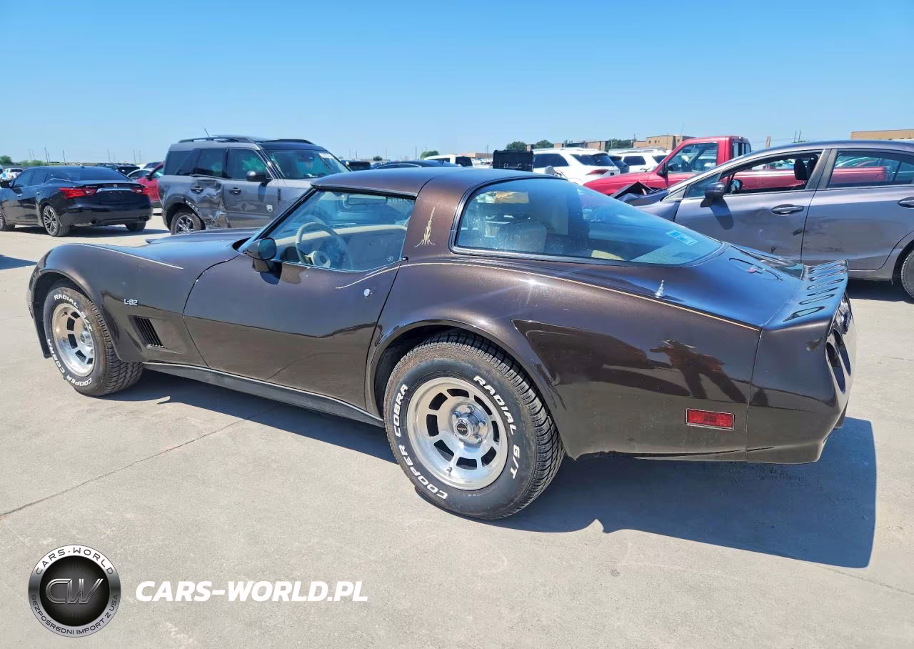 1980 Chevrolet Corvette VIN:1Z876AS424046 - 2