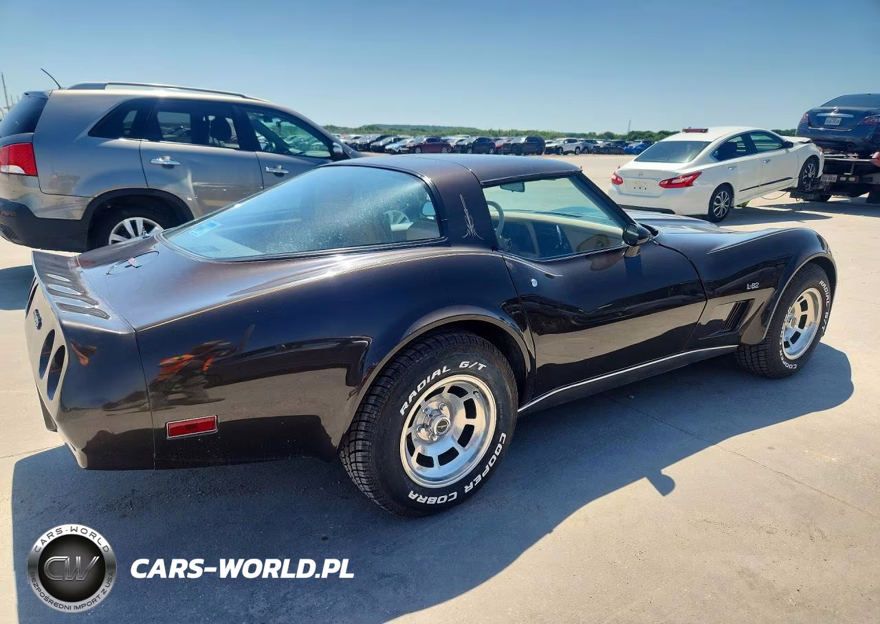 1980 Chevrolet Corvette VIN:1Z876AS424046 - 3