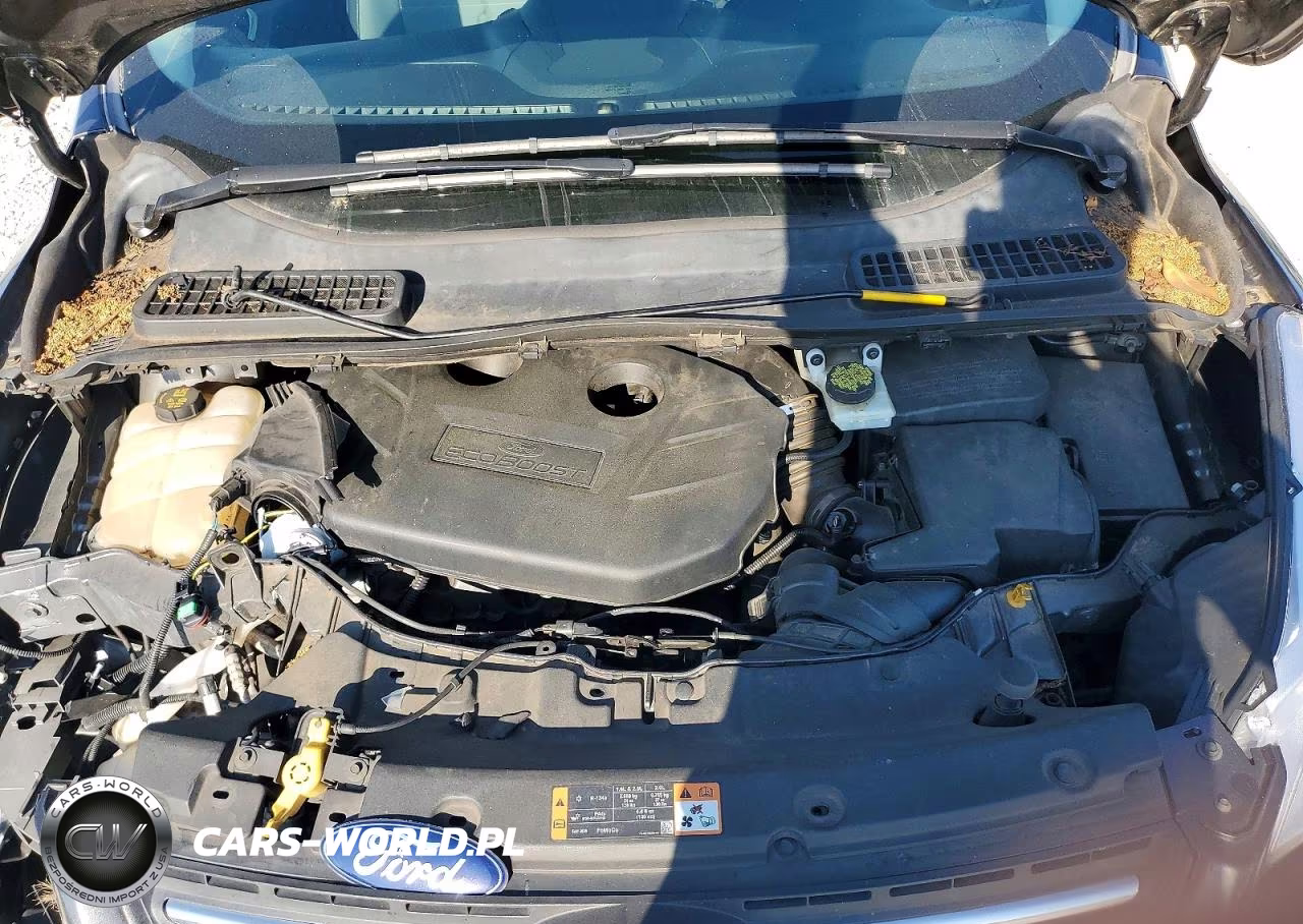 2015 Ford Escape Se VIN:1FMCU0G92FUA03694 - 12