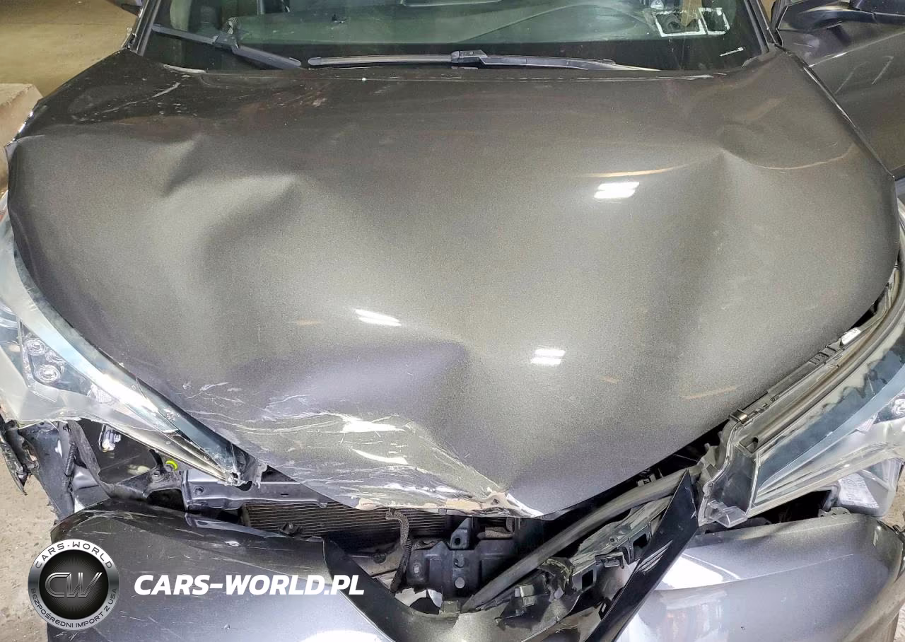 2018 Toyota C-Hr Xle Premium VIN:NMTKHMBX8JR008444 - 12