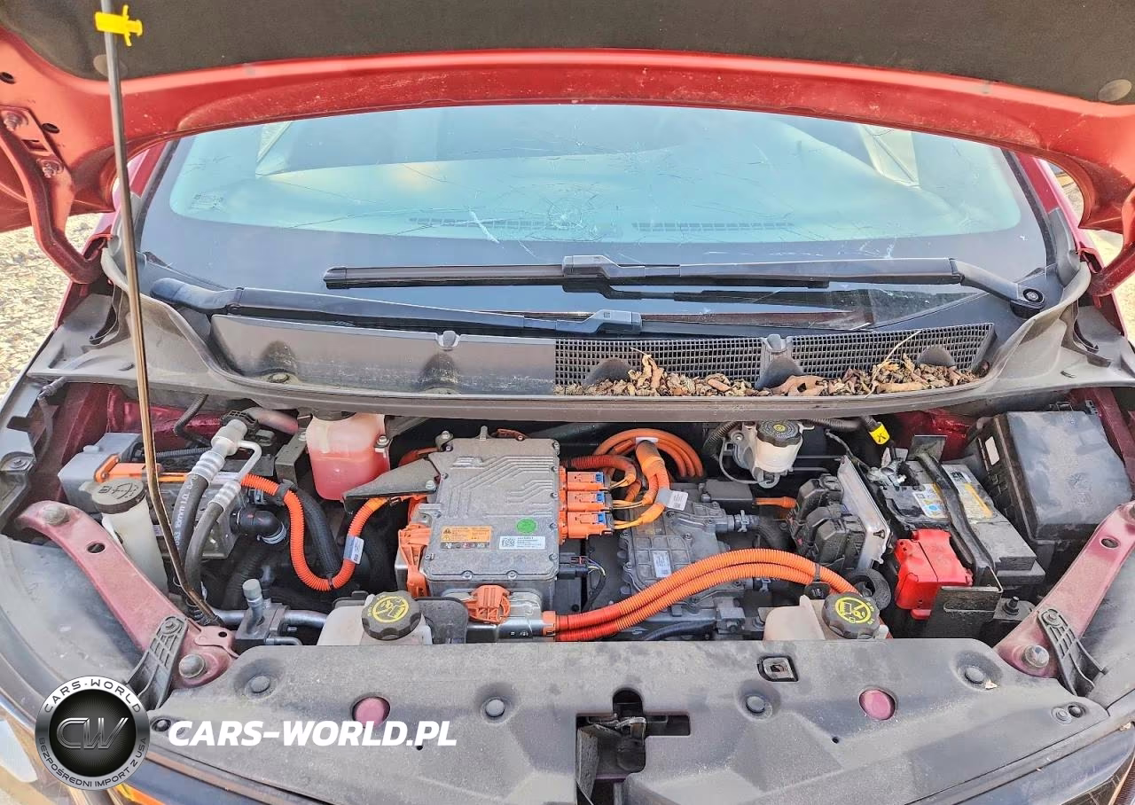 2017 Chevrolet Bolt Ev Lt VIN:1G1FW6S0XH4182912 - 12