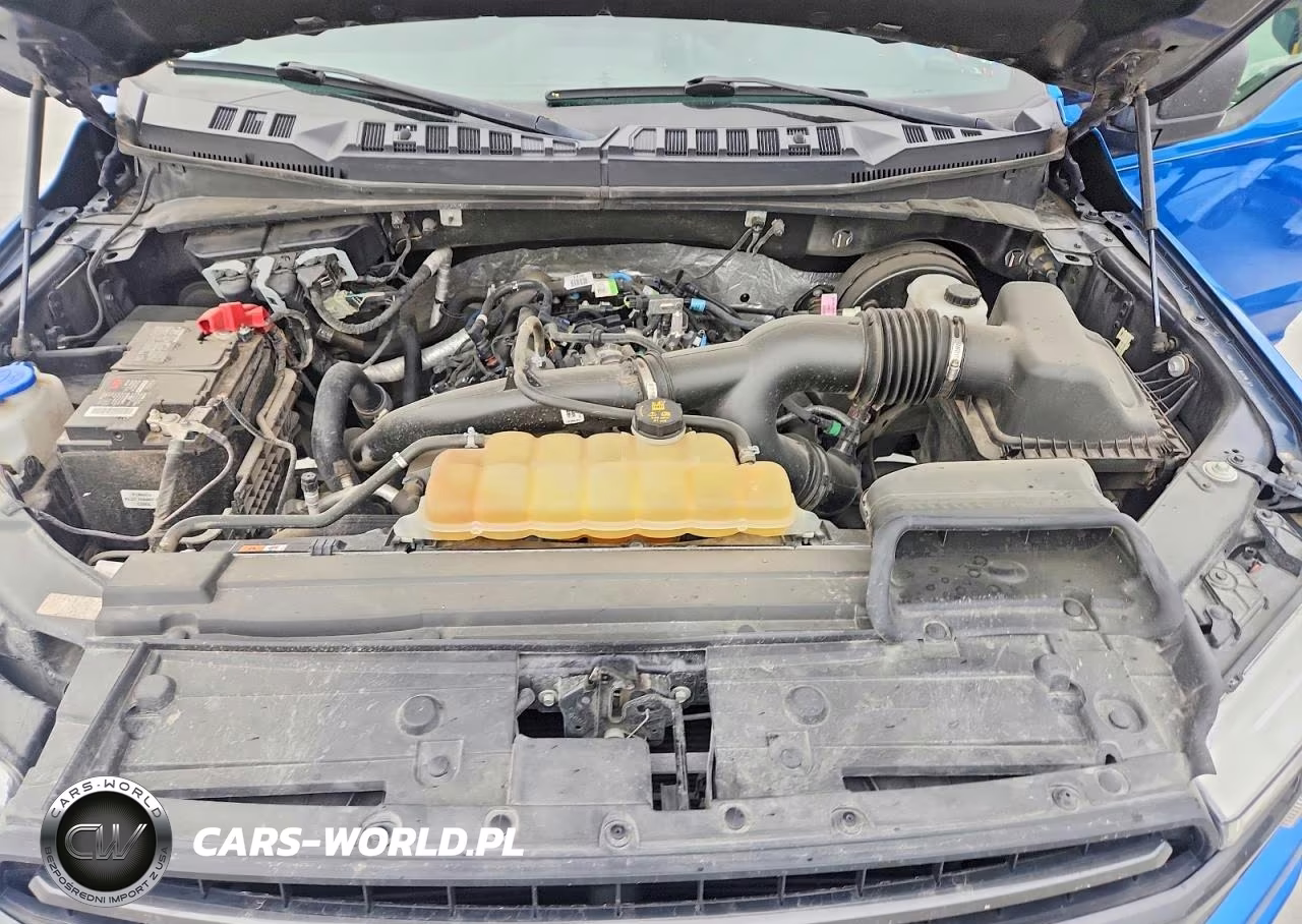 2019 Ford F-150 Xlt VIN:1FTEW1CP2KKE34172 - 11