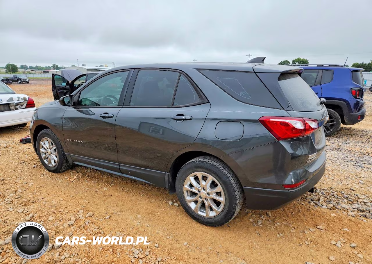 2019 Chevrolet Equinox Ls VIN:3GNAXHEV2KS599604 - 2