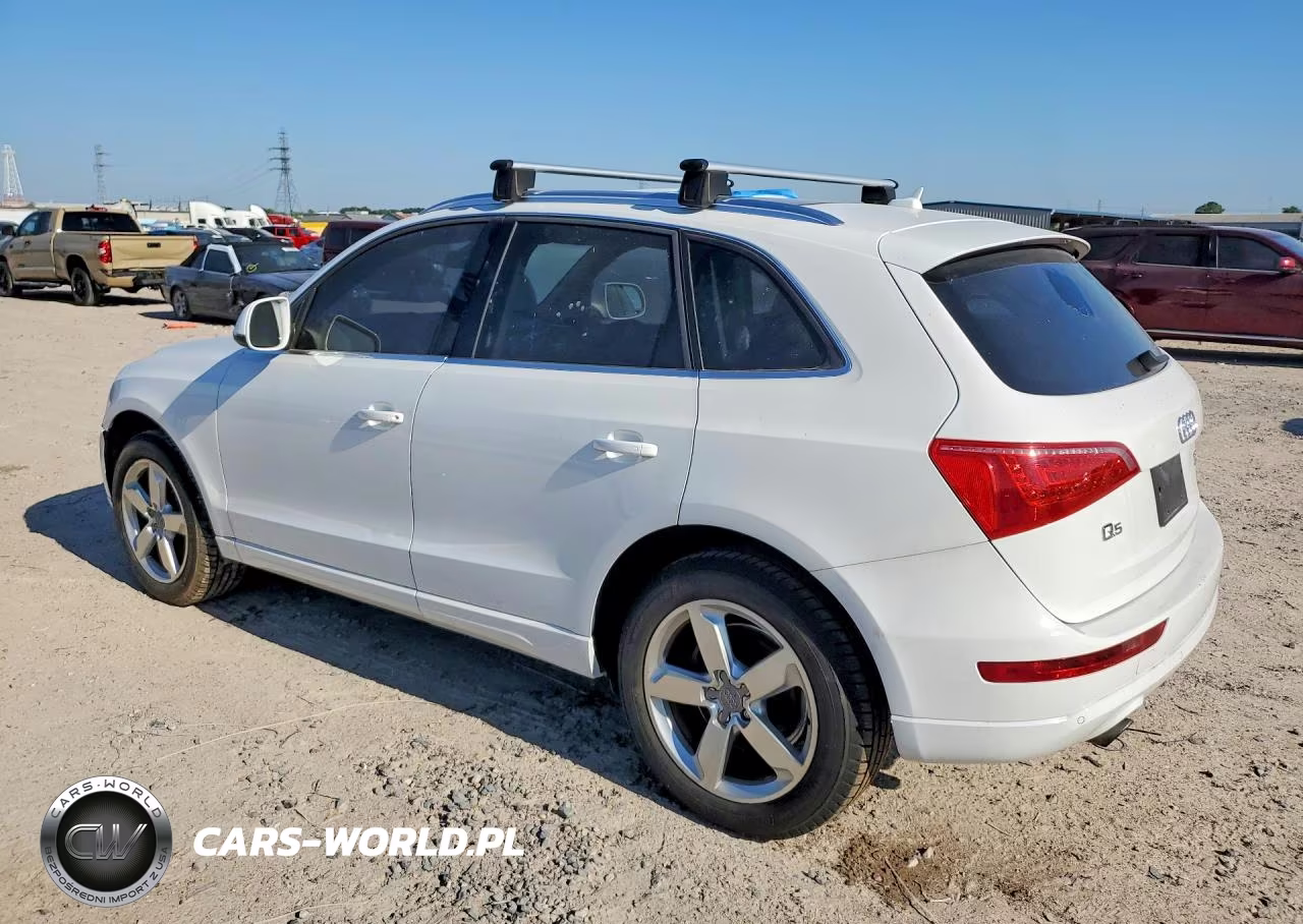 2010 Audi Q5 Premium Plus VIN:WA1LKAFPXAA003351 - 2