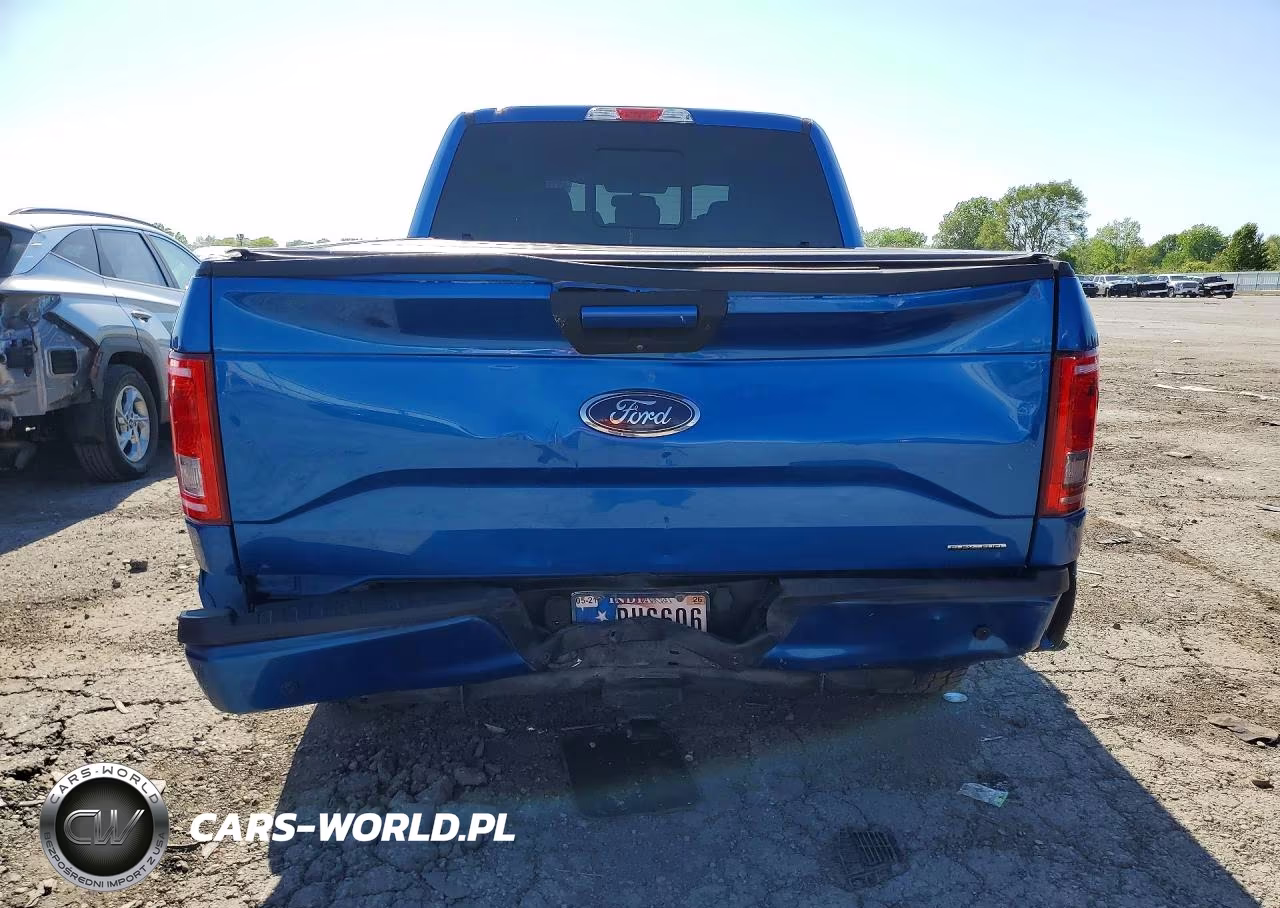 2016 Ford F150 Supercrew VIN:1FTFW1EF3GKE87463 - 6