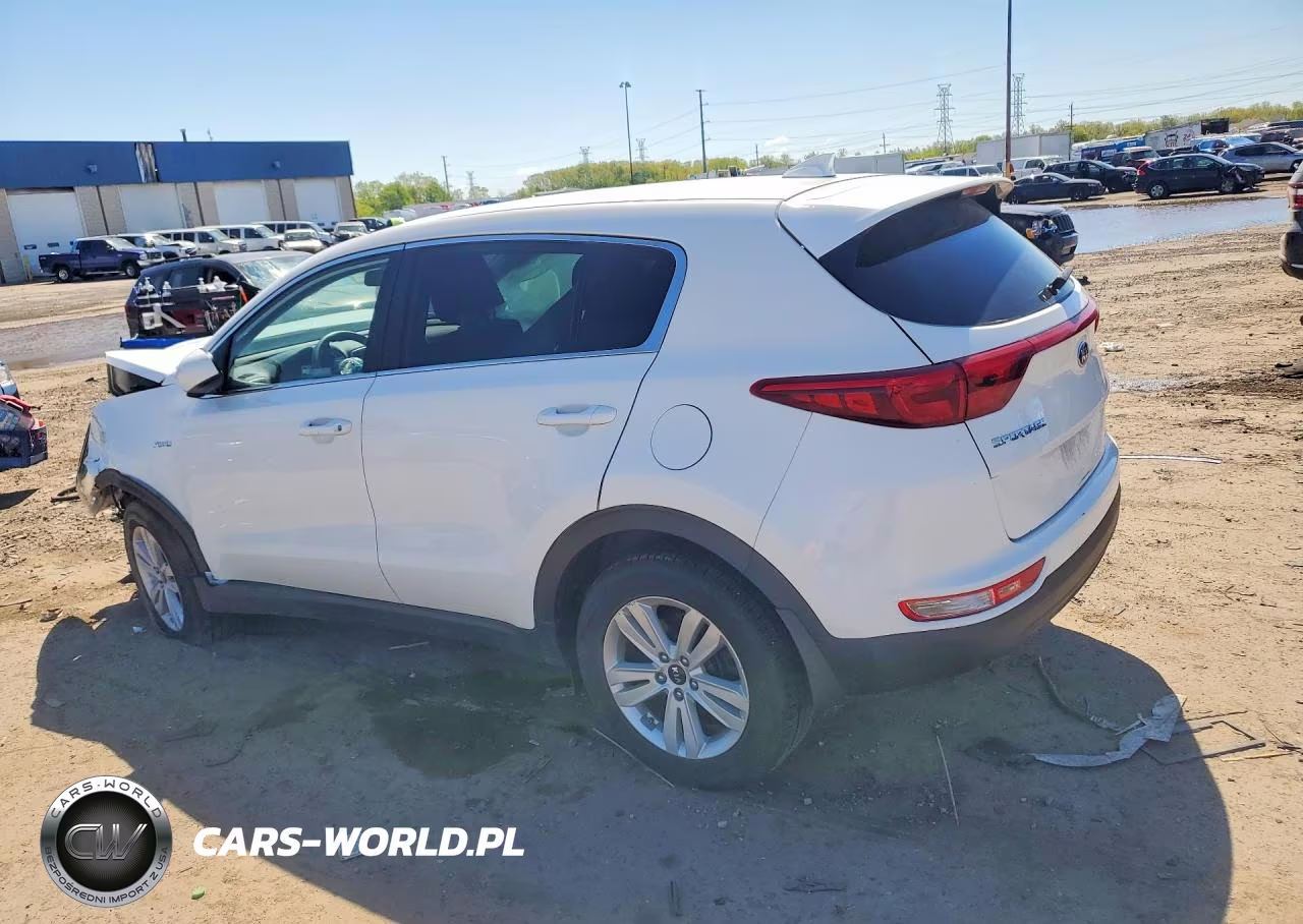 2019 Kia Sportage Lx VIN:KNDPMCAC5K7532402 - 2