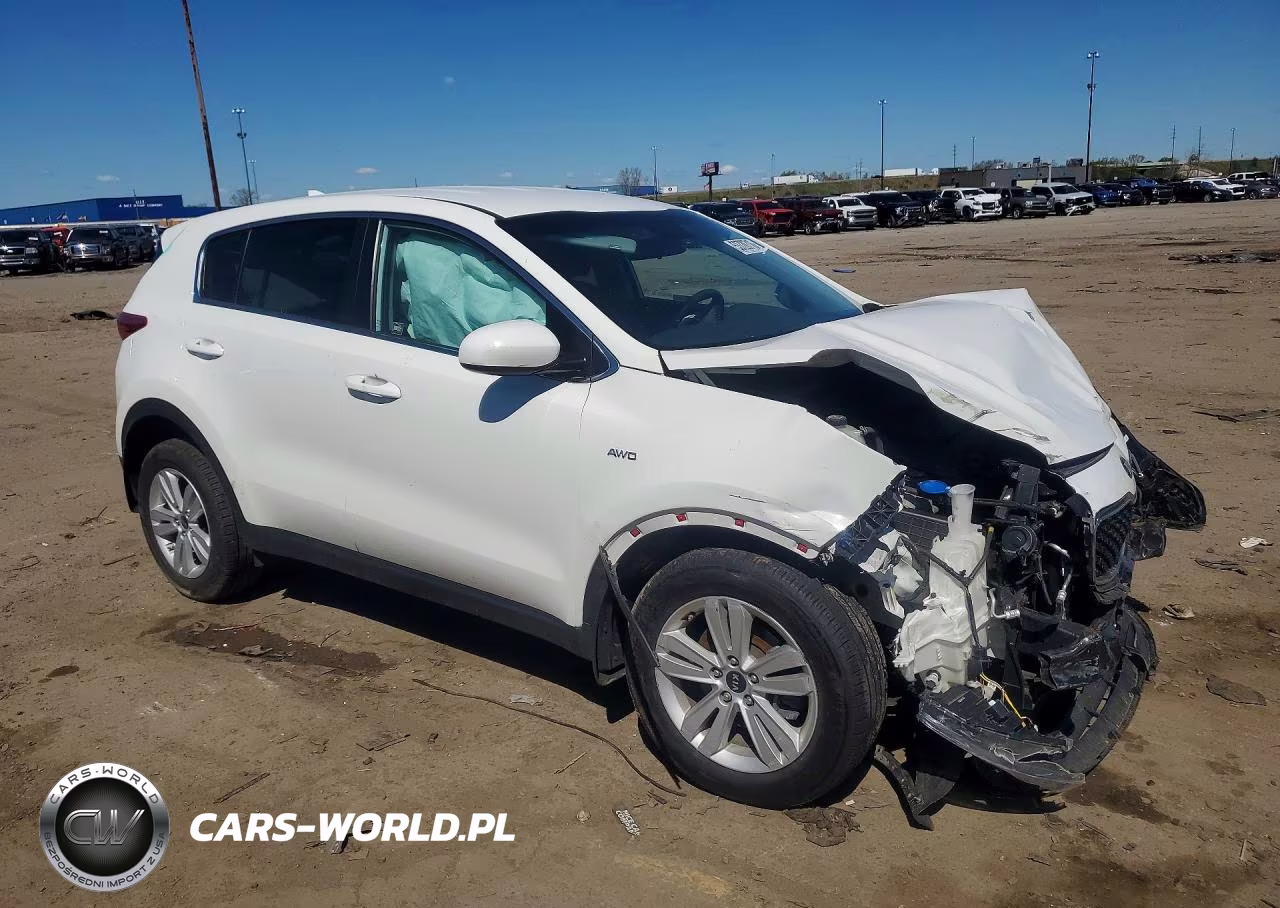 2019 Kia Sportage Lx VIN:KNDPMCAC5K7532402 - 4