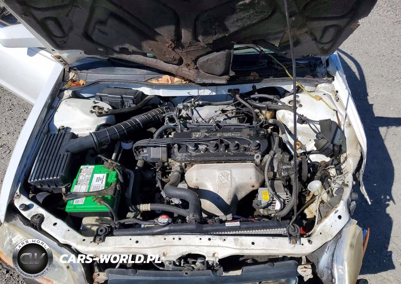 1998 Honda Accord Lx VIN:1HGCG3240WA007898 - 11