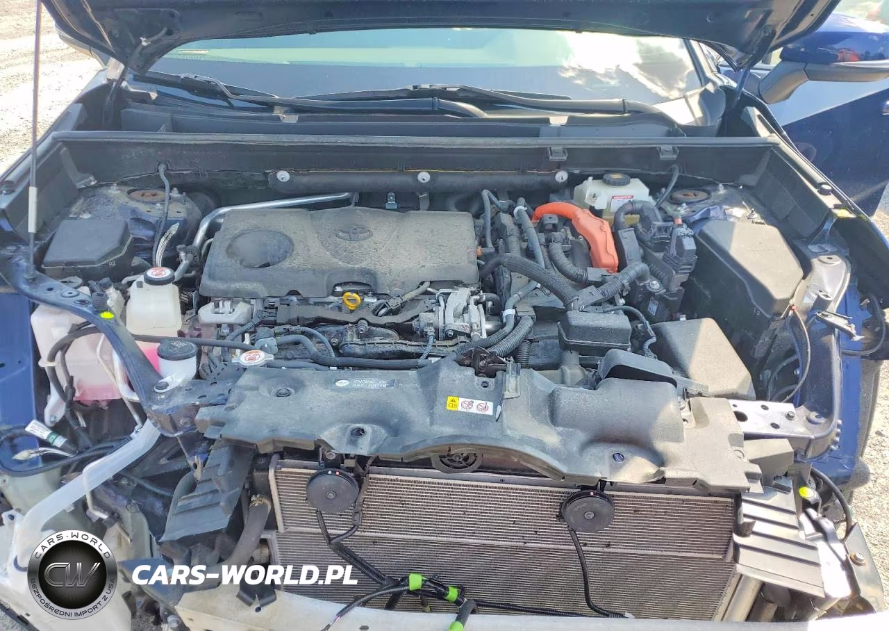 2019 Toyota Rav4 Hybrid Xle VIN:JTMRWRFV6KD023436 - 12