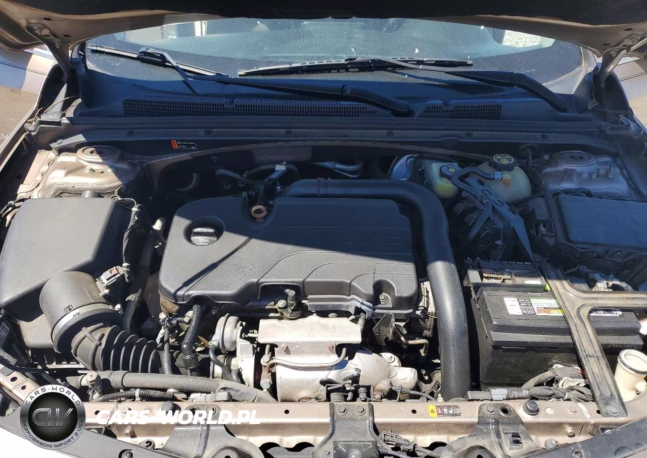 2019 Chevrolet Malibu Lt VIN:1G1ZD5ST6KF117560 - 11
