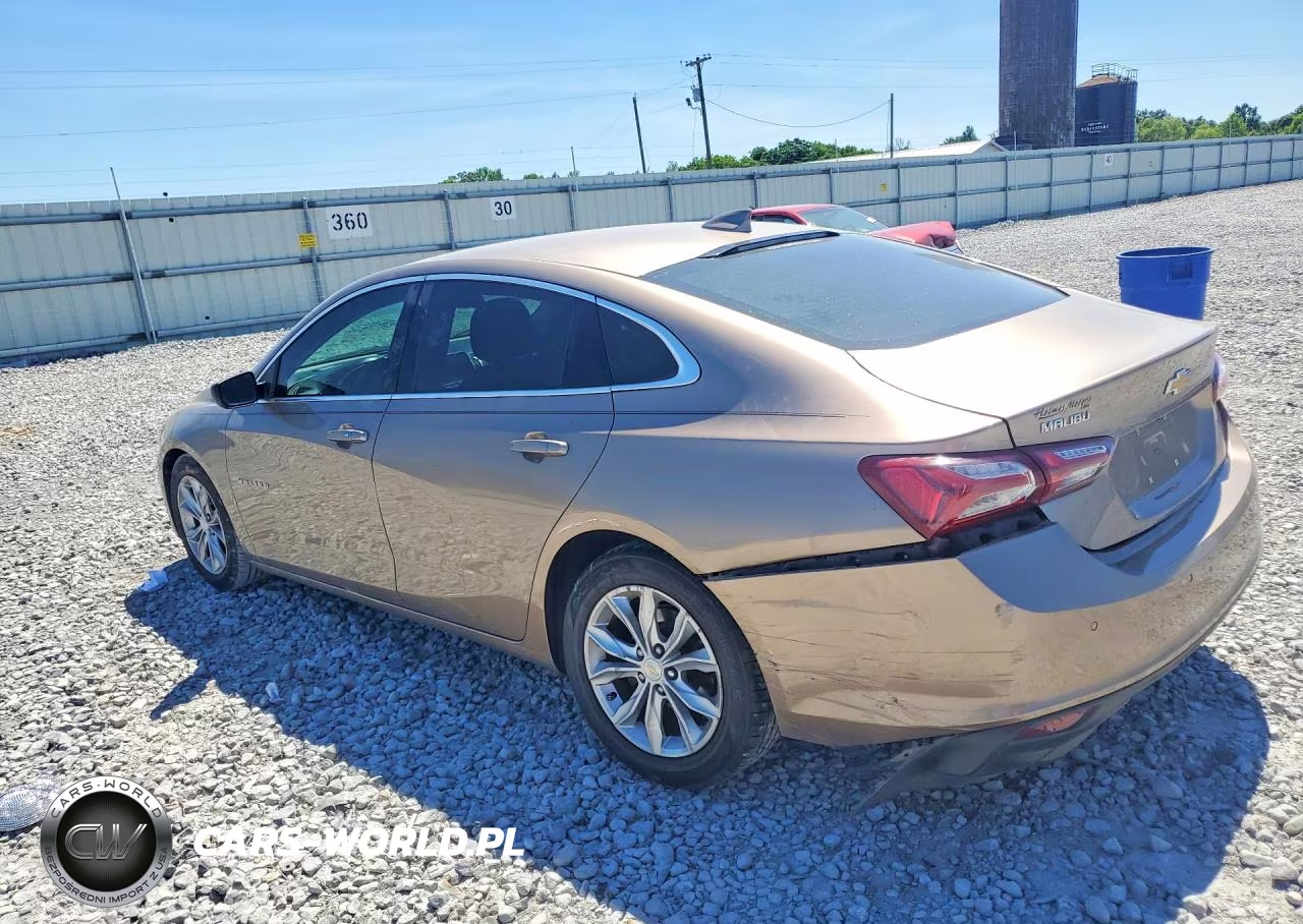 2019 Chevrolet Malibu Lt VIN:1G1ZD5ST6KF117560 - 2