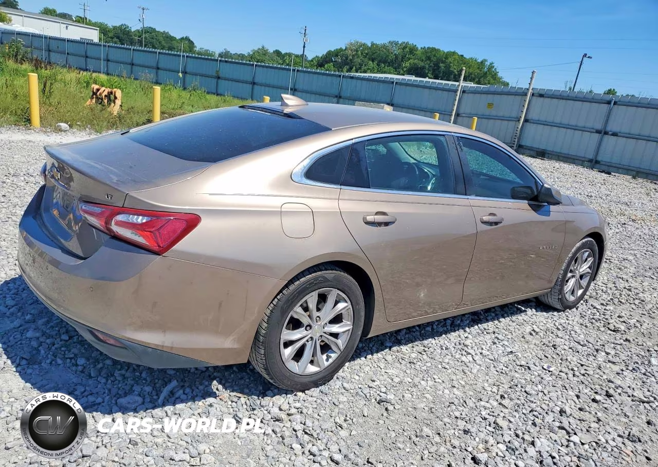 2019 Chevrolet Malibu Lt VIN:1G1ZD5ST6KF117560 - 3