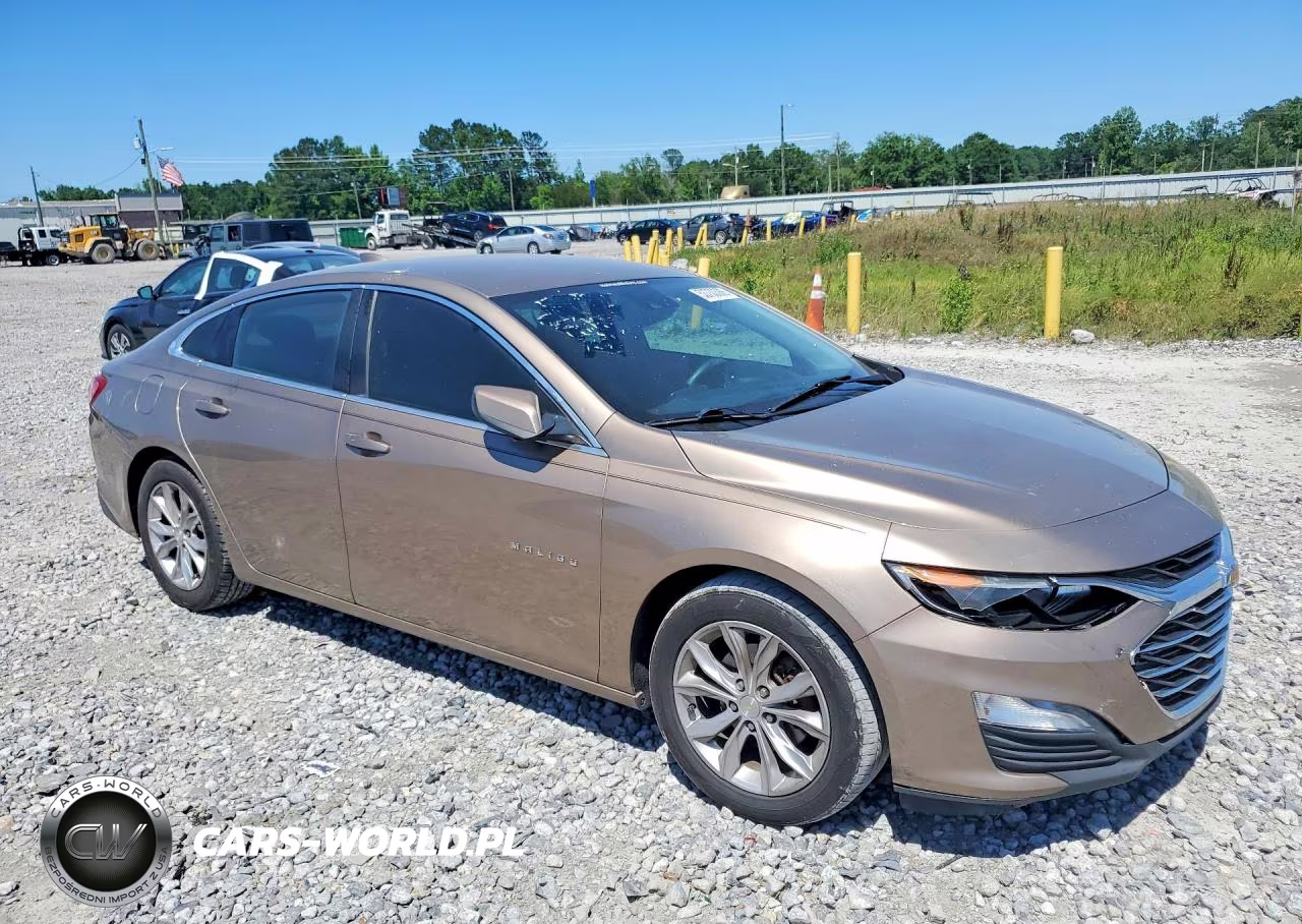 2019 Chevrolet Malibu Lt VIN:1G1ZD5ST6KF117560 - 4