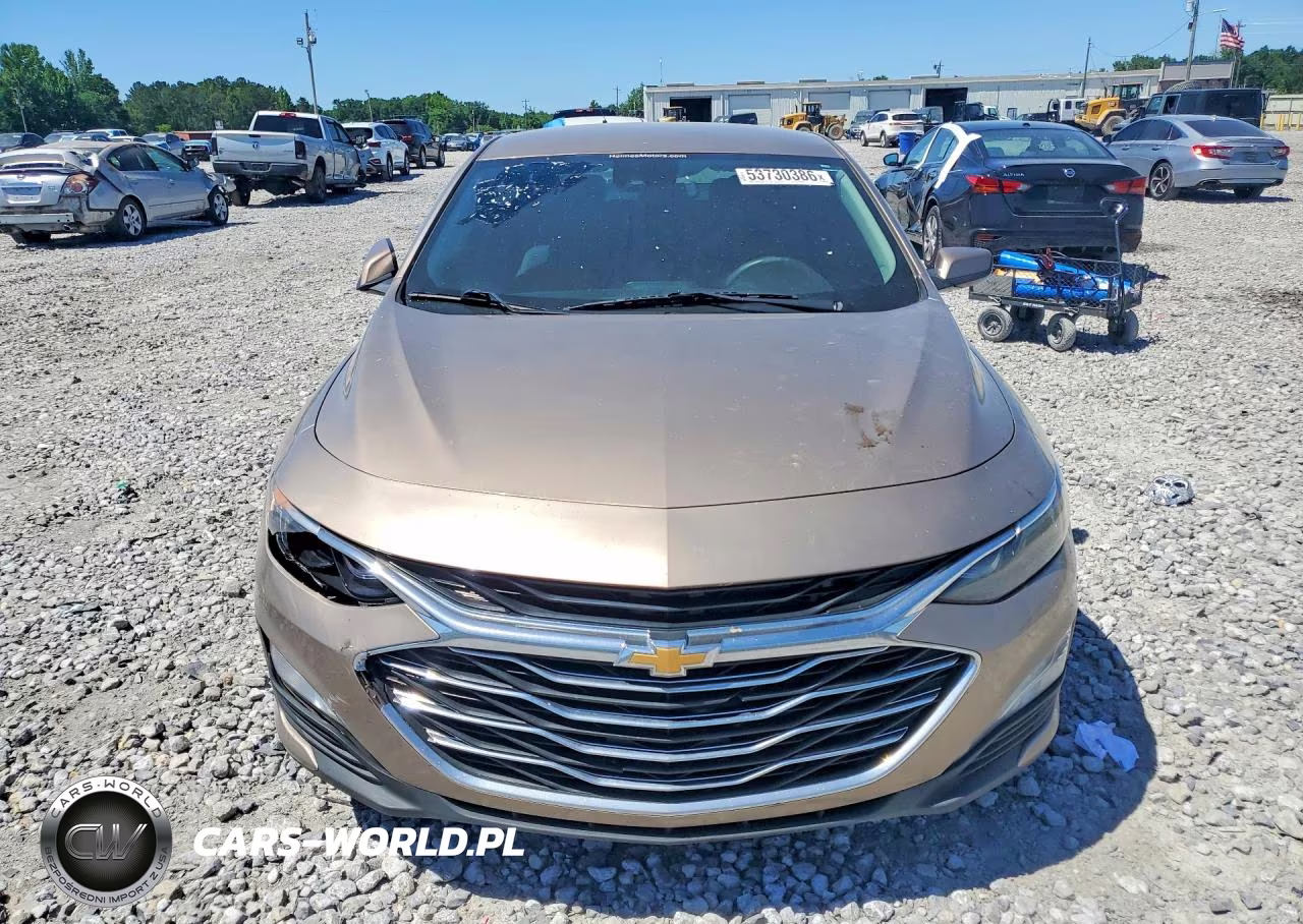 2019 Chevrolet Malibu Lt VIN:1G1ZD5ST6KF117560 - 5