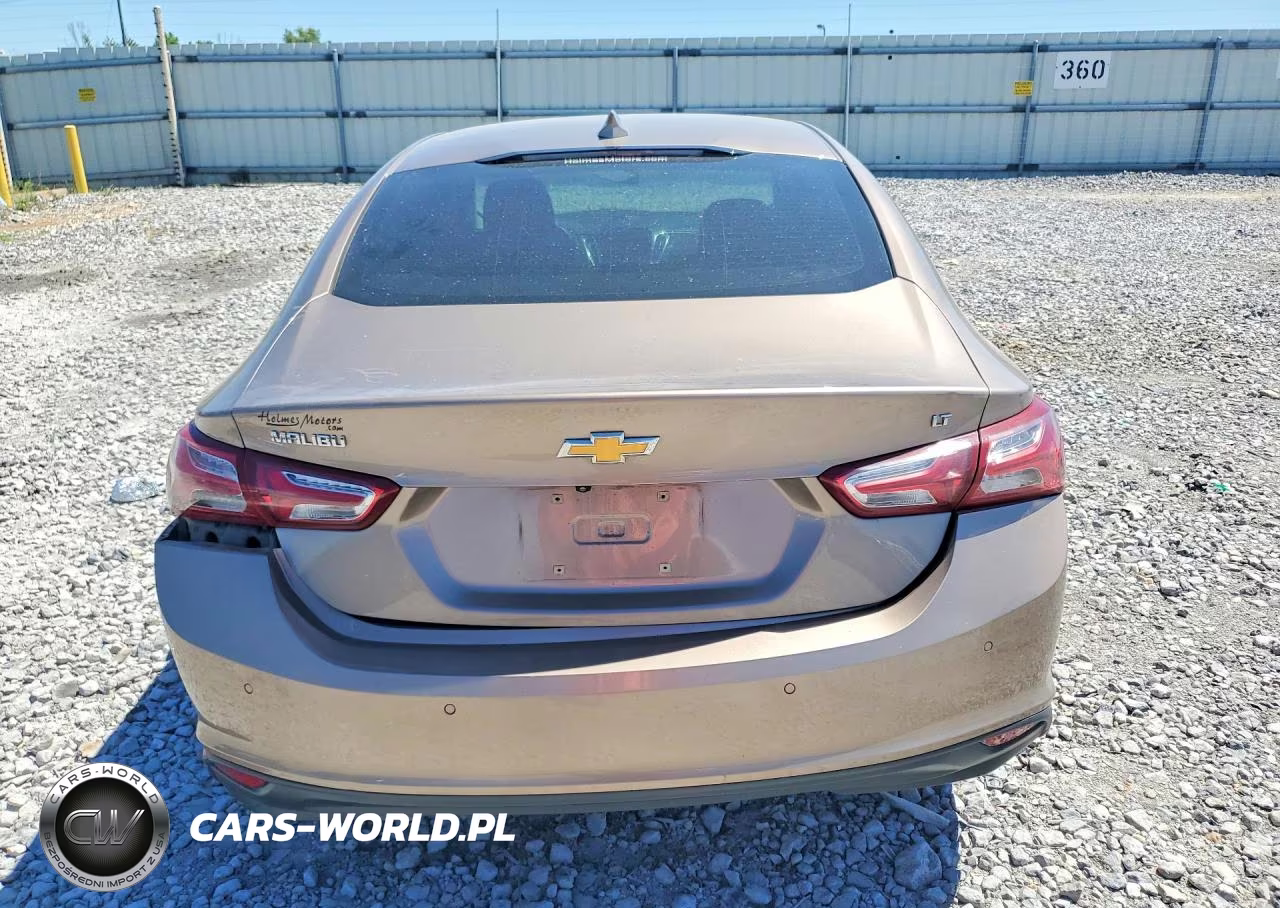 2019 Chevrolet Malibu Lt VIN:1G1ZD5ST6KF117560 - 6
