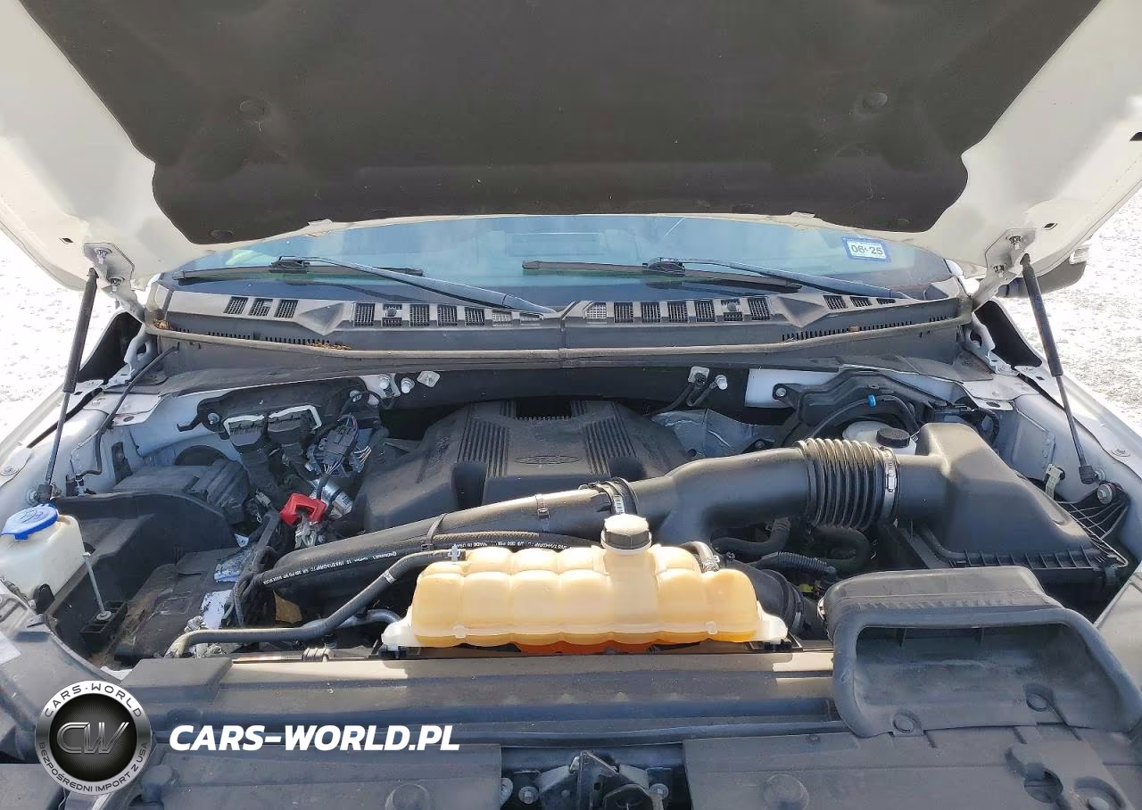 2019 Ford F150 Supercrew VIN:1FTFW1E4XKFA79865 - 11