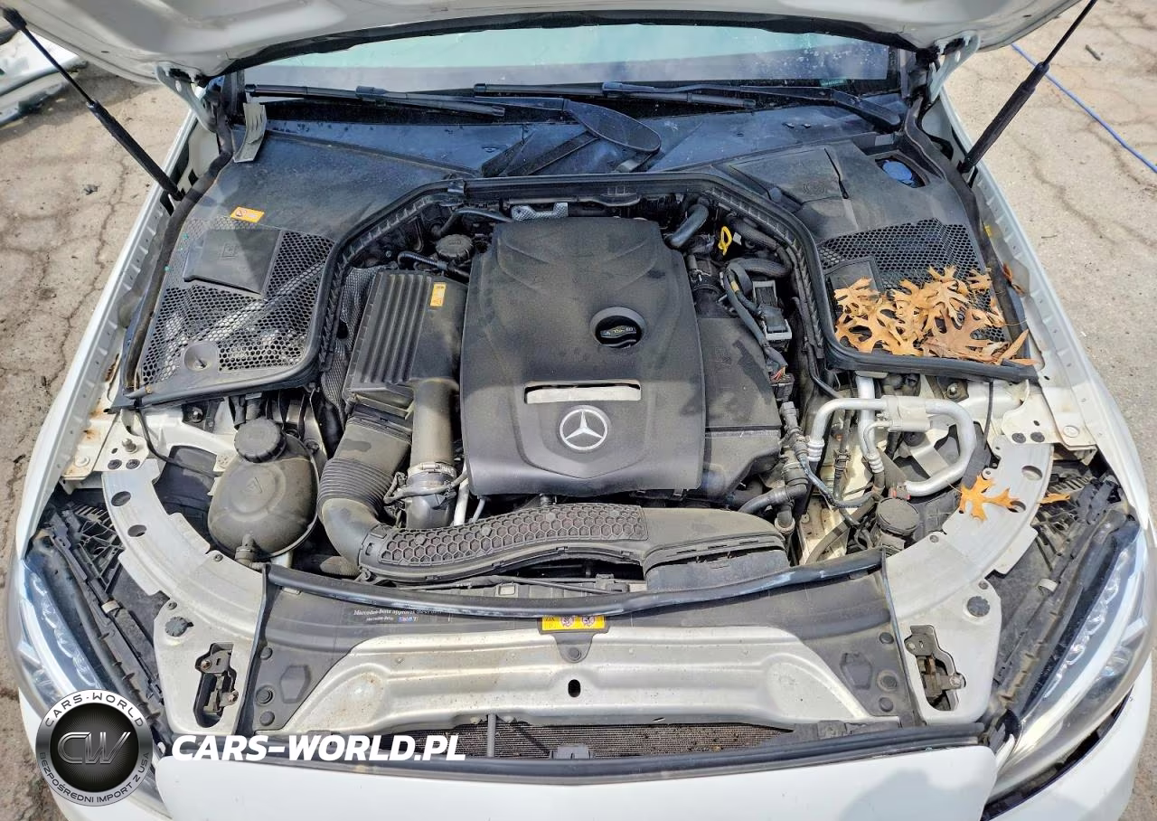 2016 Mercedes-Benz C 300 4Matic VIN:55SWF4KB7GU161552 - 11