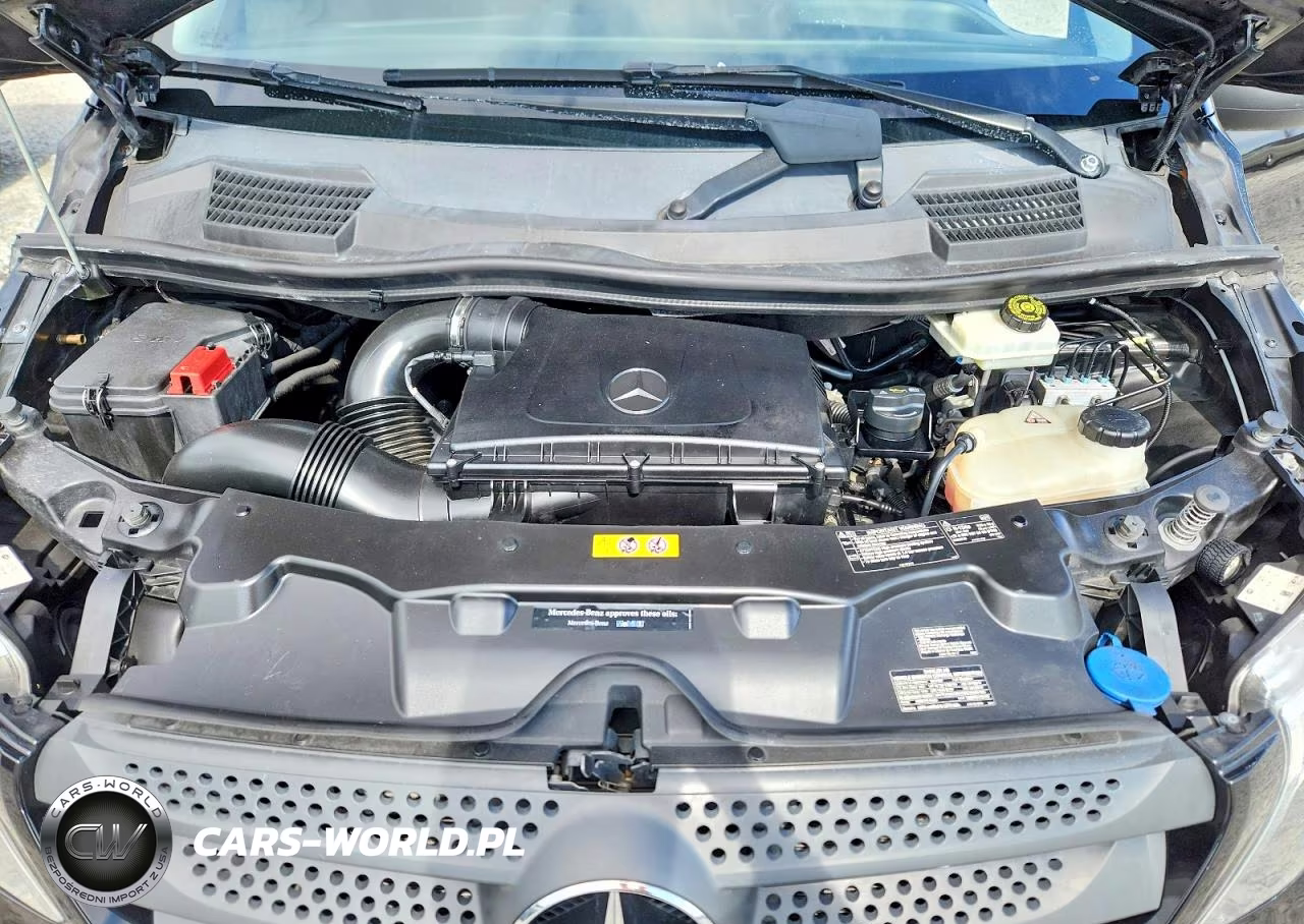 2019 Mercedes-Benz Metris VIN:WD4PG2EE3K3545627 - 12