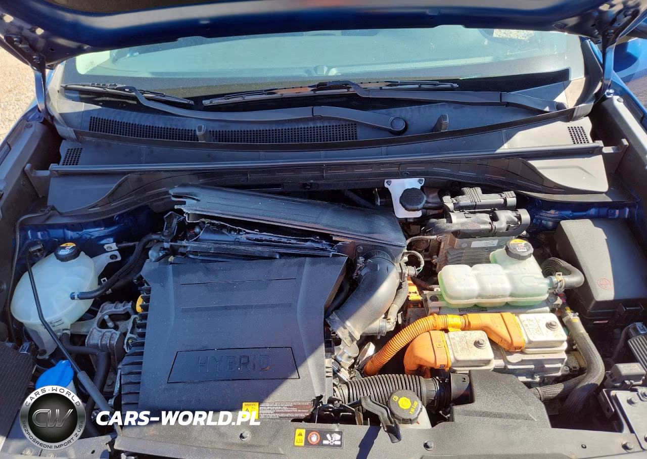 2019 Kia Niro Lx VIN:KNDCB3LC1K5316771 - 12