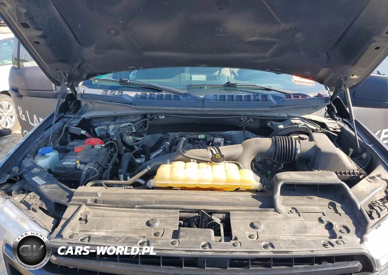 2019 Ford F150 Supercrew VIN:1FTEW1EP1KFD44081 - 11