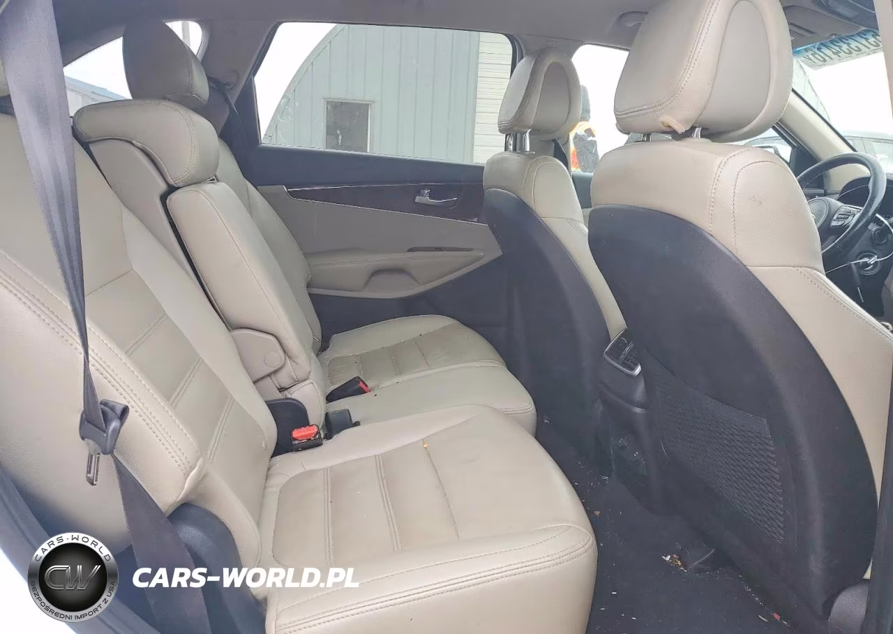 2016 Kia Sorento Lx VIN:5XYPGDA39GG060471 - 11