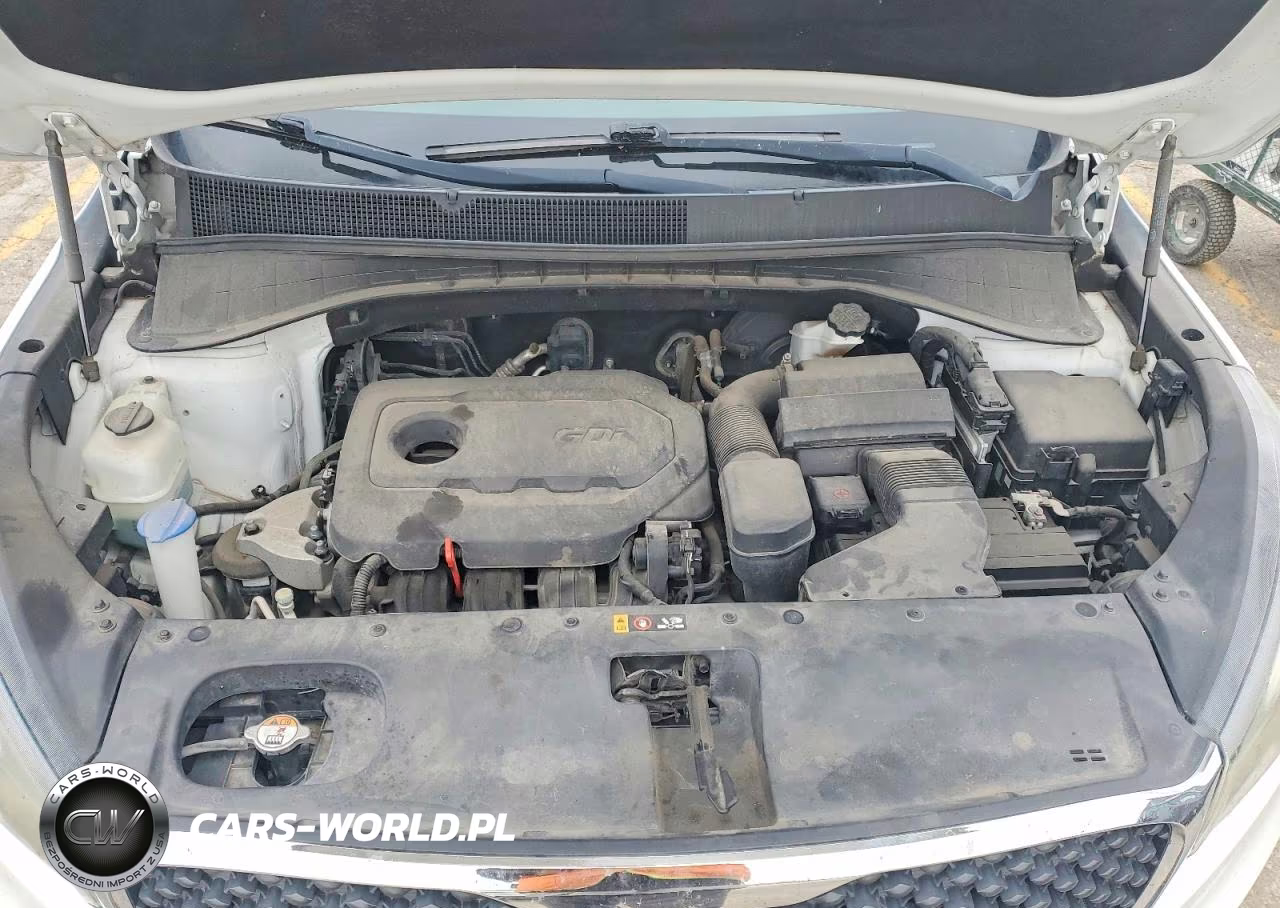 2016 Kia Sorento Lx VIN:5XYPGDA39GG060471 - 12
