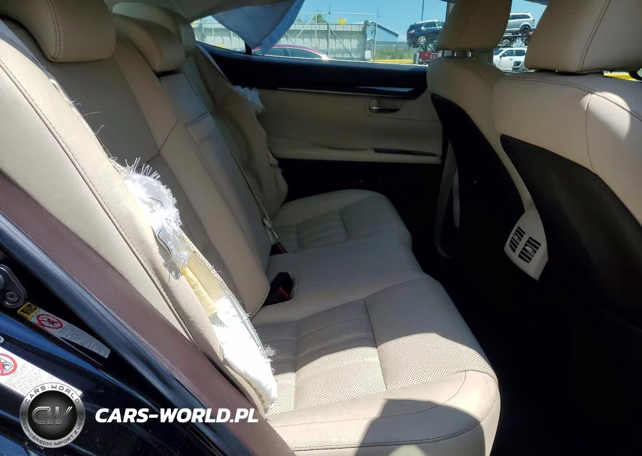 2016 Lexus Es 350 VIN:JTHBK1GG9G2234954 - 10