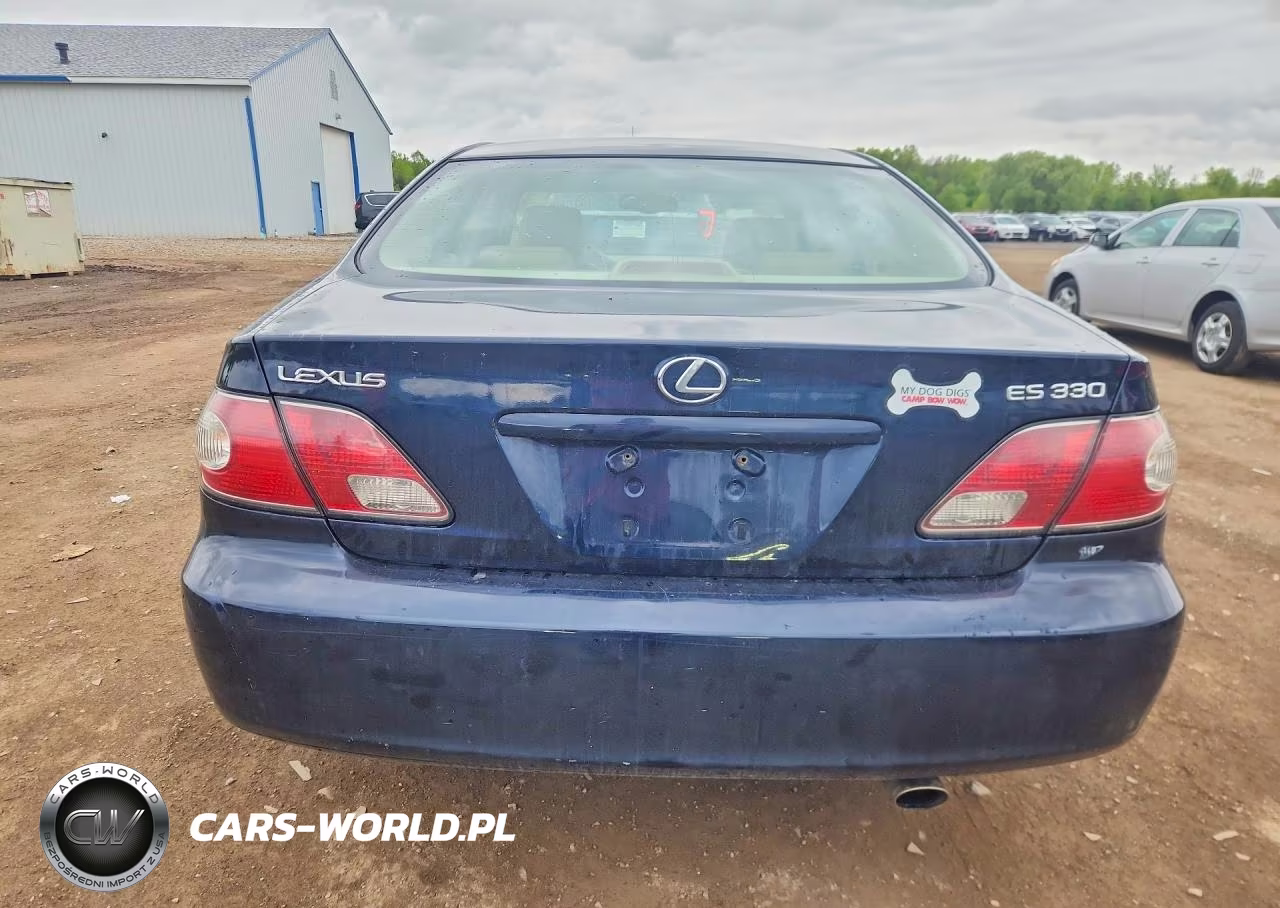 2004 Lexus Es 330 VIN:JTHBA30G640003137 - 6