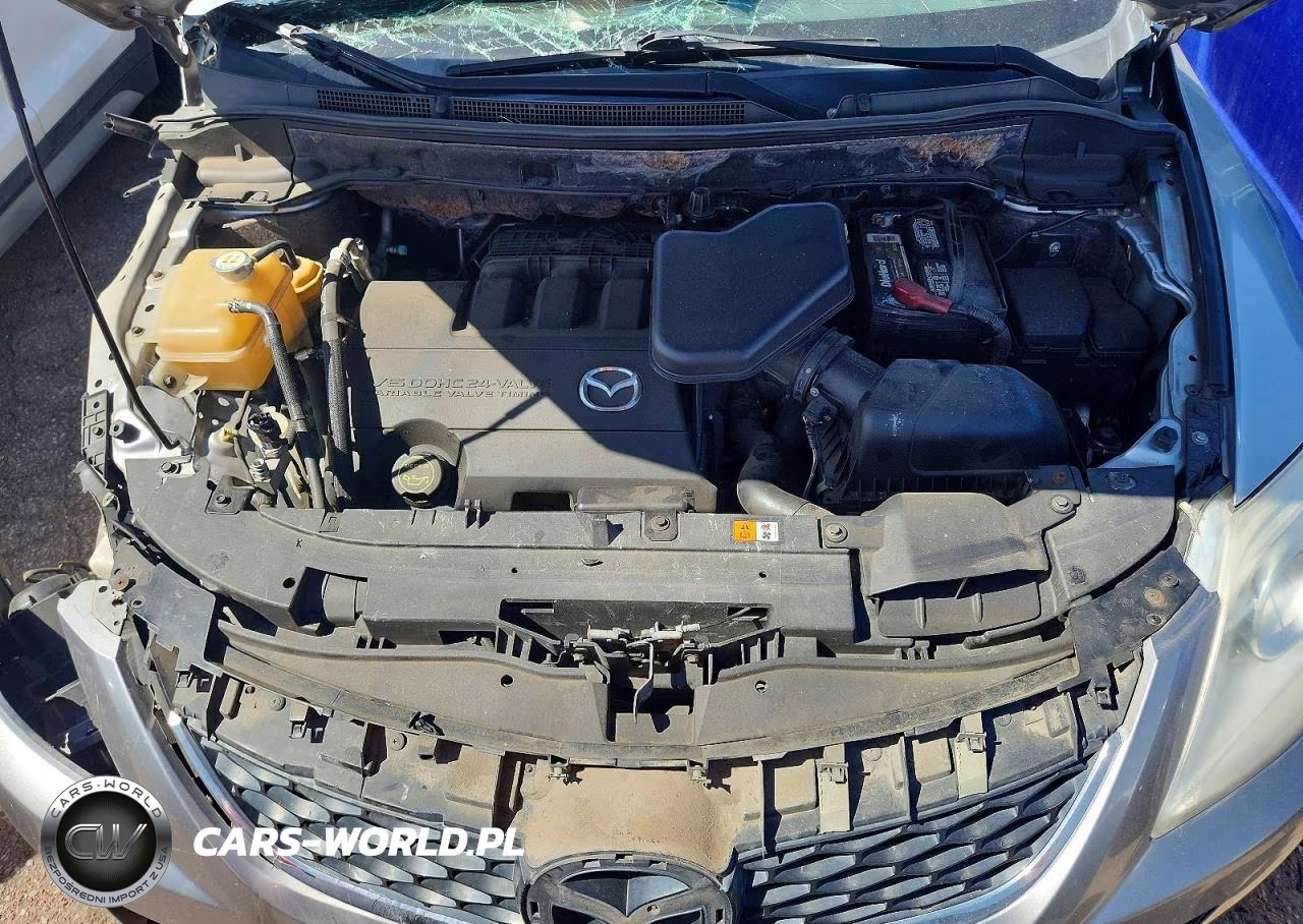 2010 Mazda Cx-9 VIN:JM3TB3MV6A0209976 - 11