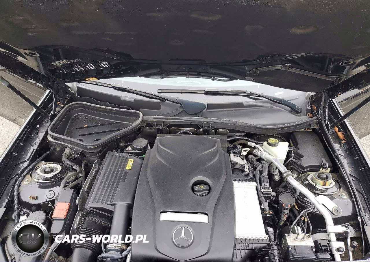 2016 Mercedes-Benz Slk 300 VIN:WDDPK3JA6GF115202 - 11