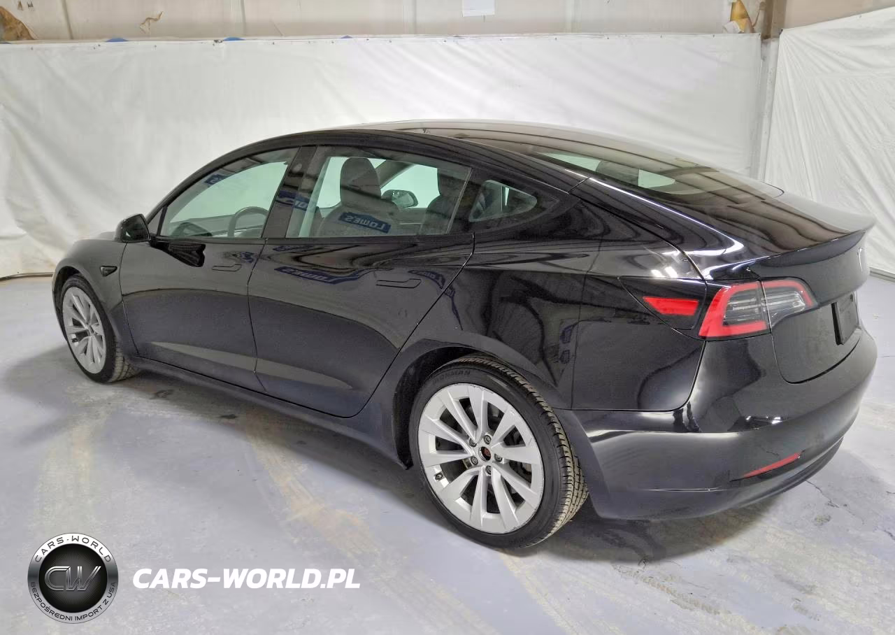 2023 Tesla Model 3 VIN:5YJ3E1EA6PF434196 - 2