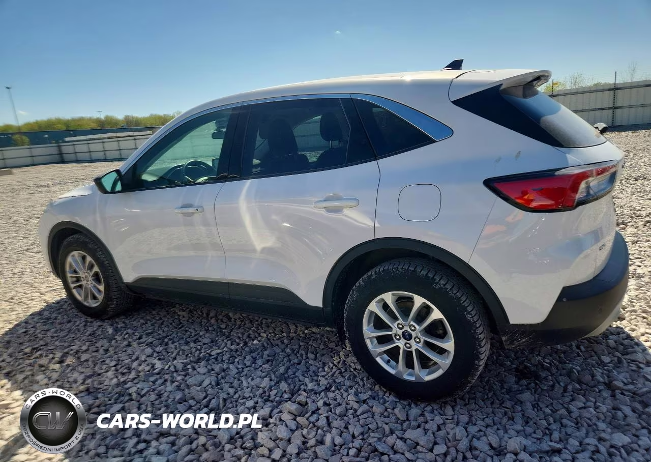 2022 Ford Escape Se VIN:1FMCU9G61NUB00619 - 2