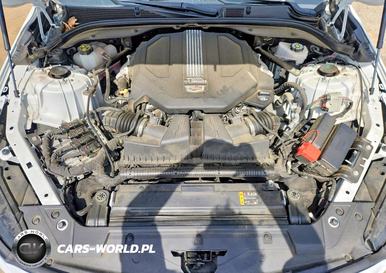 2021 Cadillac Ct5 Premium Luxury VIN:1G6DN5RW5M0113023 - 11