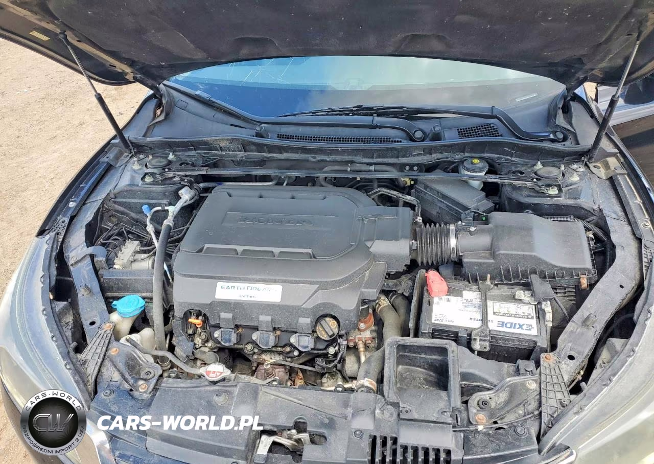 2013 Honda Accord Exl VIN:1HGCR3F88DA027112 - 11