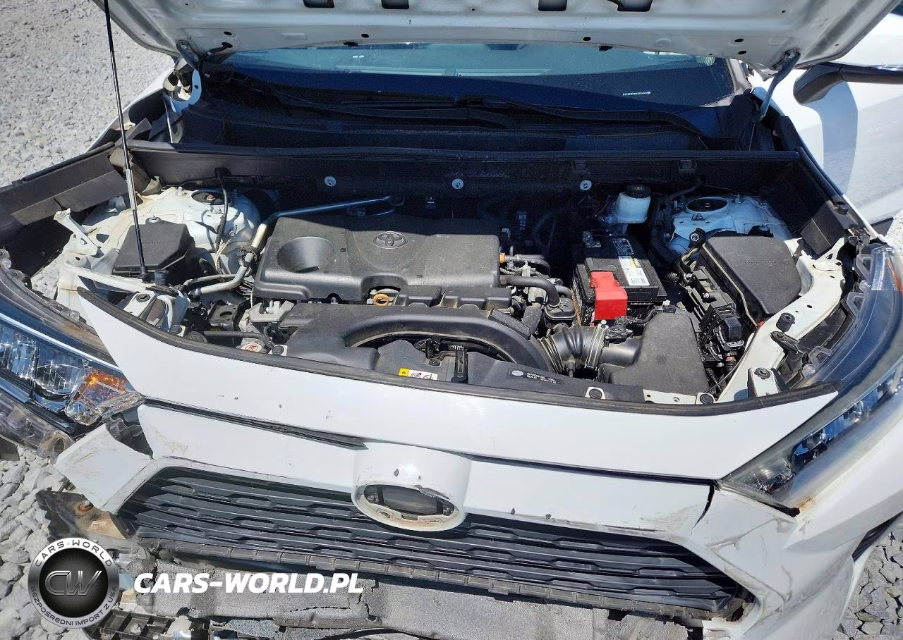 2019 Toyota Rav4 Xle VIN:2T3W1RFV6KC024169 - 12