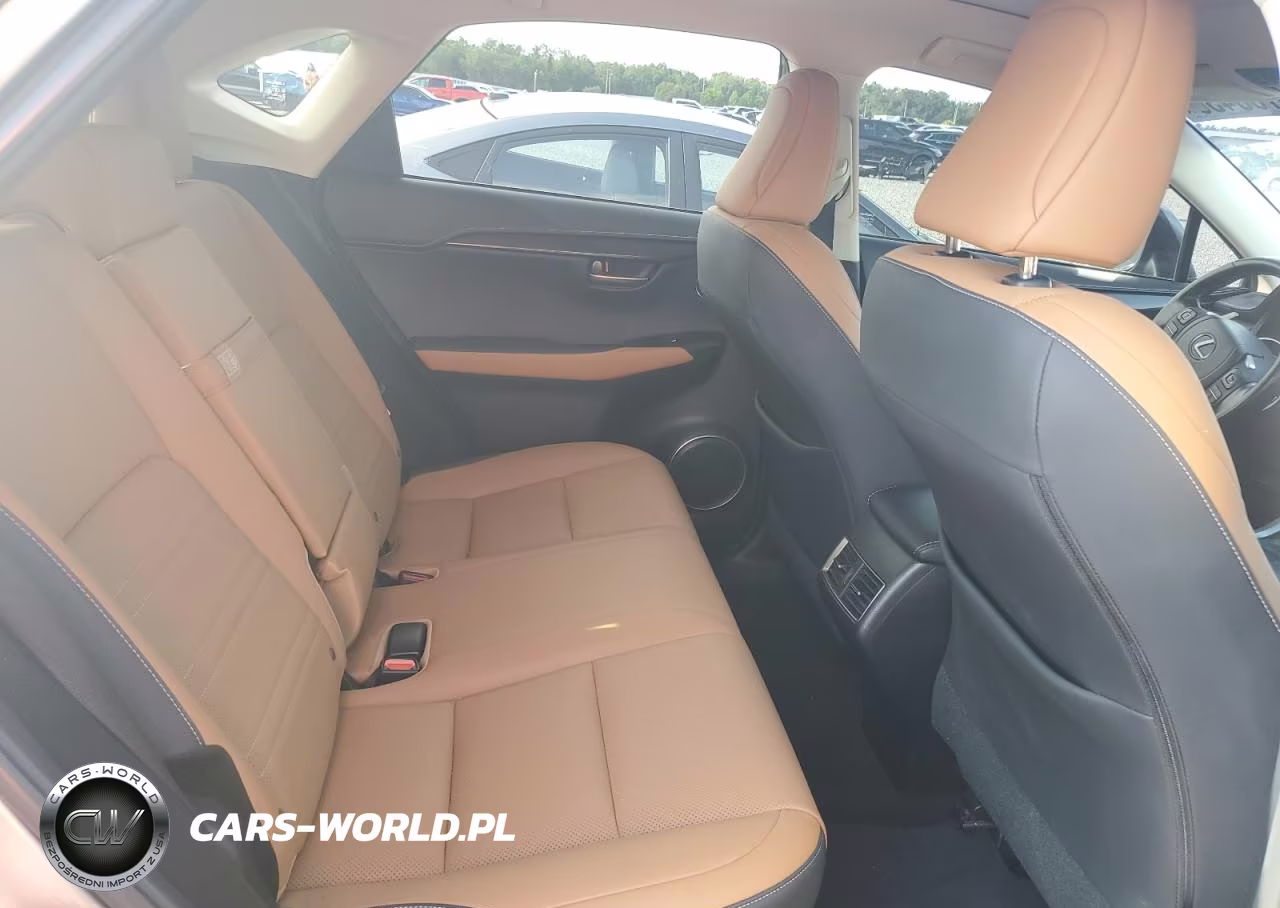 2021 Lexus Nx 300 Base VIN:JTJGARBZ6M2195783 - 11
