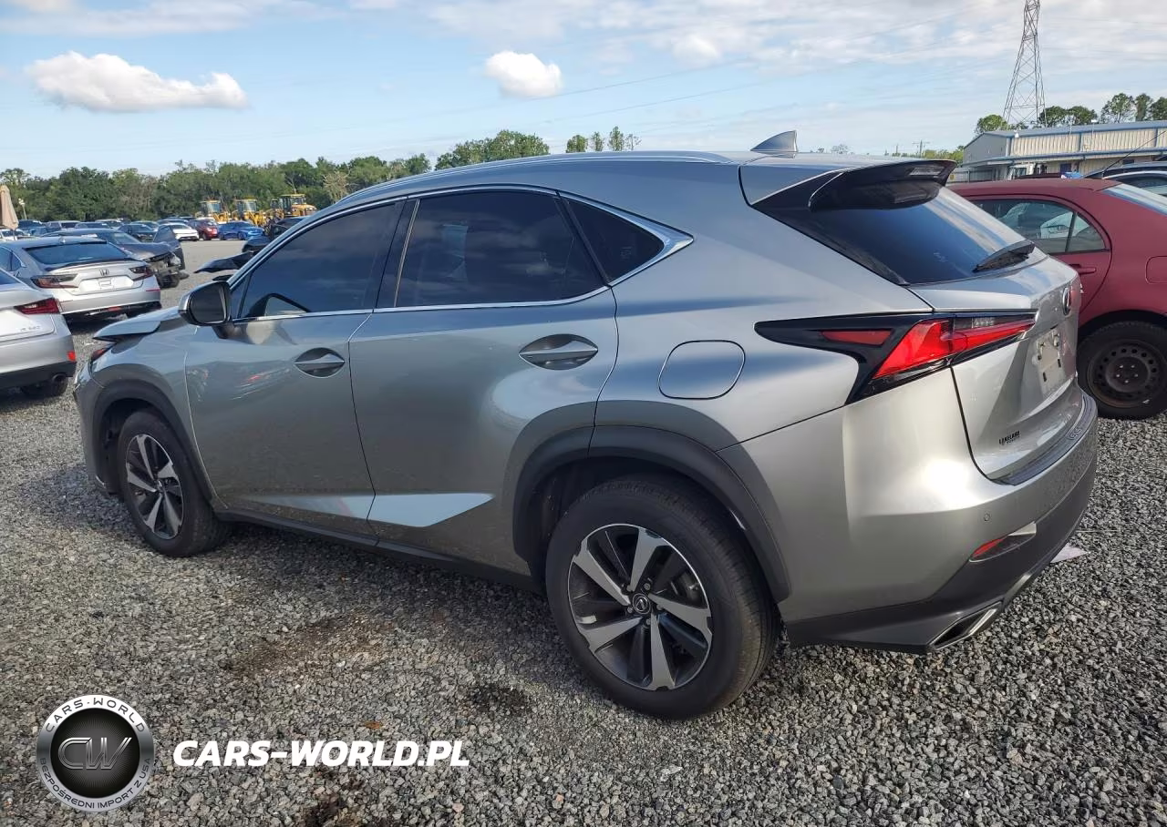 2021 Lexus Nx 300 Base VIN:JTJGARBZ6M2195783 - 2