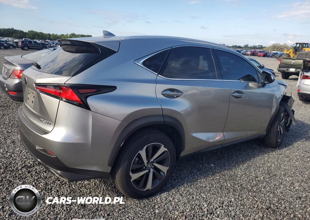 2021 Lexus Nx 300 Base VIN:JTJGARBZ6M2195783 - 3