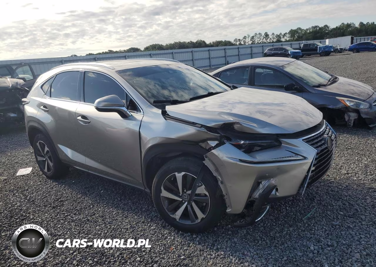 2021 Lexus Nx 300 Base VIN:JTJGARBZ6M2195783 - 4